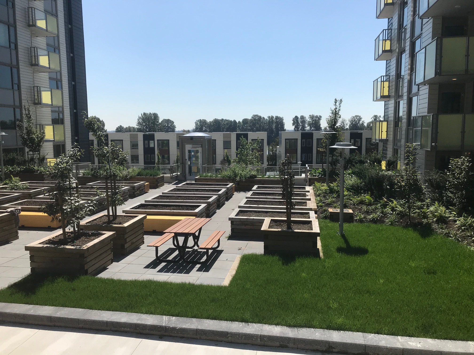 Courtyard garden with raised planters, picnic tables, and surrounding residential buildings.